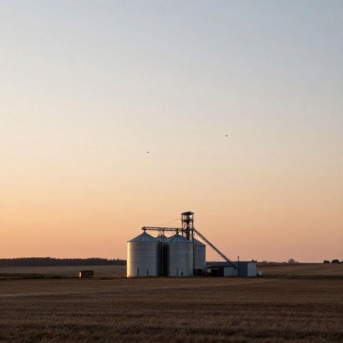 Guia Prático para Selecionar o Elevador de Grãos Ideal e Otimizar sua Produção