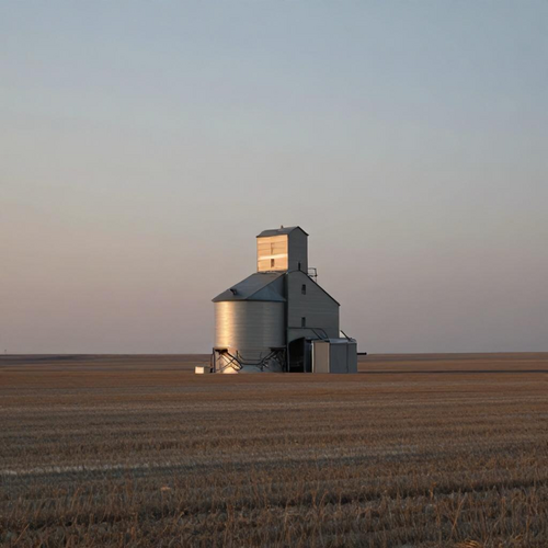 Como identificar o elevador para grãos perfeito para otimizar seu armazenamento agrícola